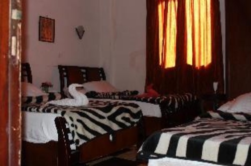 Family Palace Hostel image 3